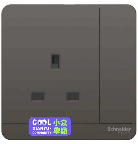 Schneider 施耐德 E8315_DG_C5 13A