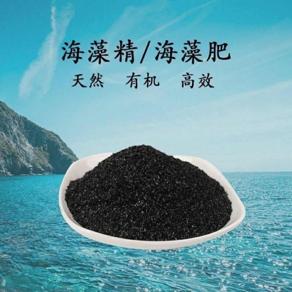 海藻精藻源低温酶解水溶性海藻精原粉片状通用增效叶面肥袋装包邮