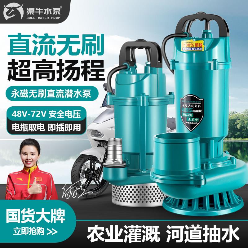 无刷大功率直流潜水泵4860v72V电动电瓶车专用家用农用灌溉抽水泵