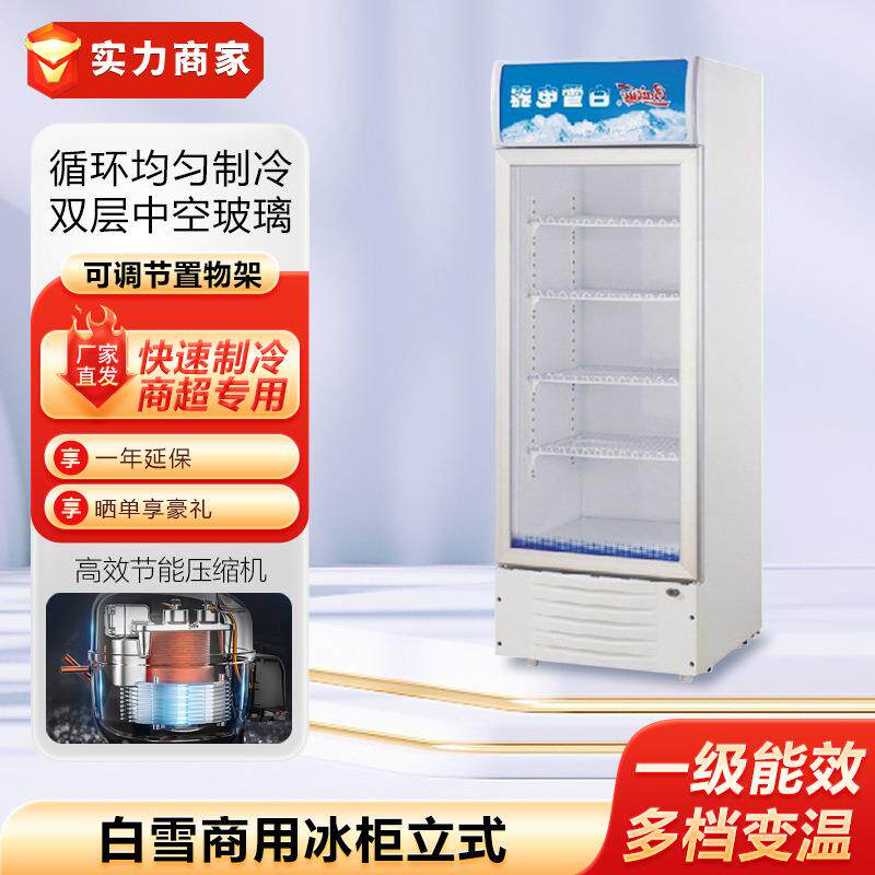 白雪冰柜立式陈列柜展示柜饮料柜啤酒柜冷柜点菜柜