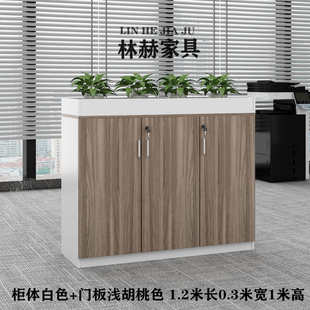 隔断新款柜槽办公室木质柜简约家具花物文件矮花草简约现代资料储
