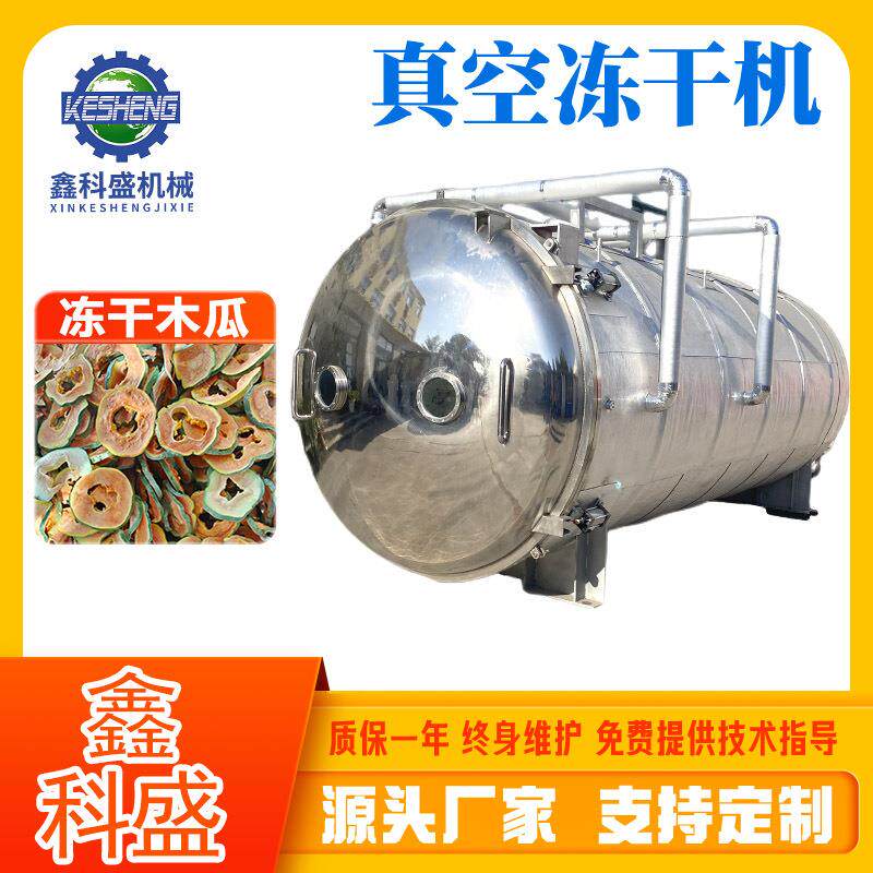 木瓜片冻干机 海参真空冷冻冻干机 果蔬粉低温干燥机