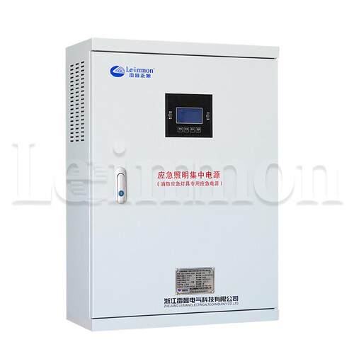 应急照明集中电源配电箱LM-D-0.6KVA DC24V 60分钟智能疏散指示