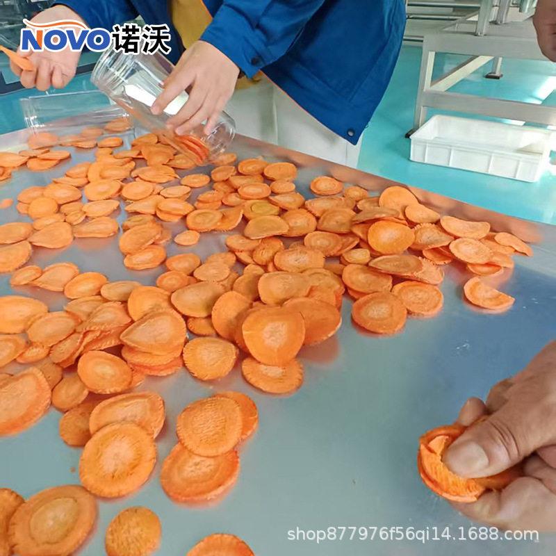 方便面蔬菜包冻干机方舱真空干燥机胡萝卜丁冻干设备真空冻干机