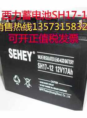 SEHEY西力蓄电池NPG12-24质保一年12V24AH 消防主机 UPS/EPS电源