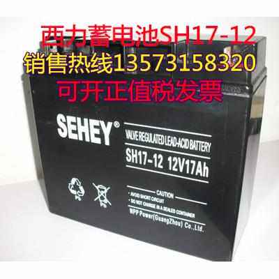 SEHEY西力蓄电池NPG12-24质保一年12V24AH 消防主机 UPS/EPS电源