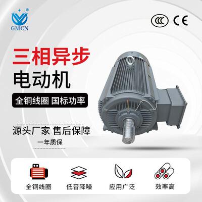 三相异步电机Y303E3-355M2/L1/L2-2全铜马达20/25电0/5315/35W动