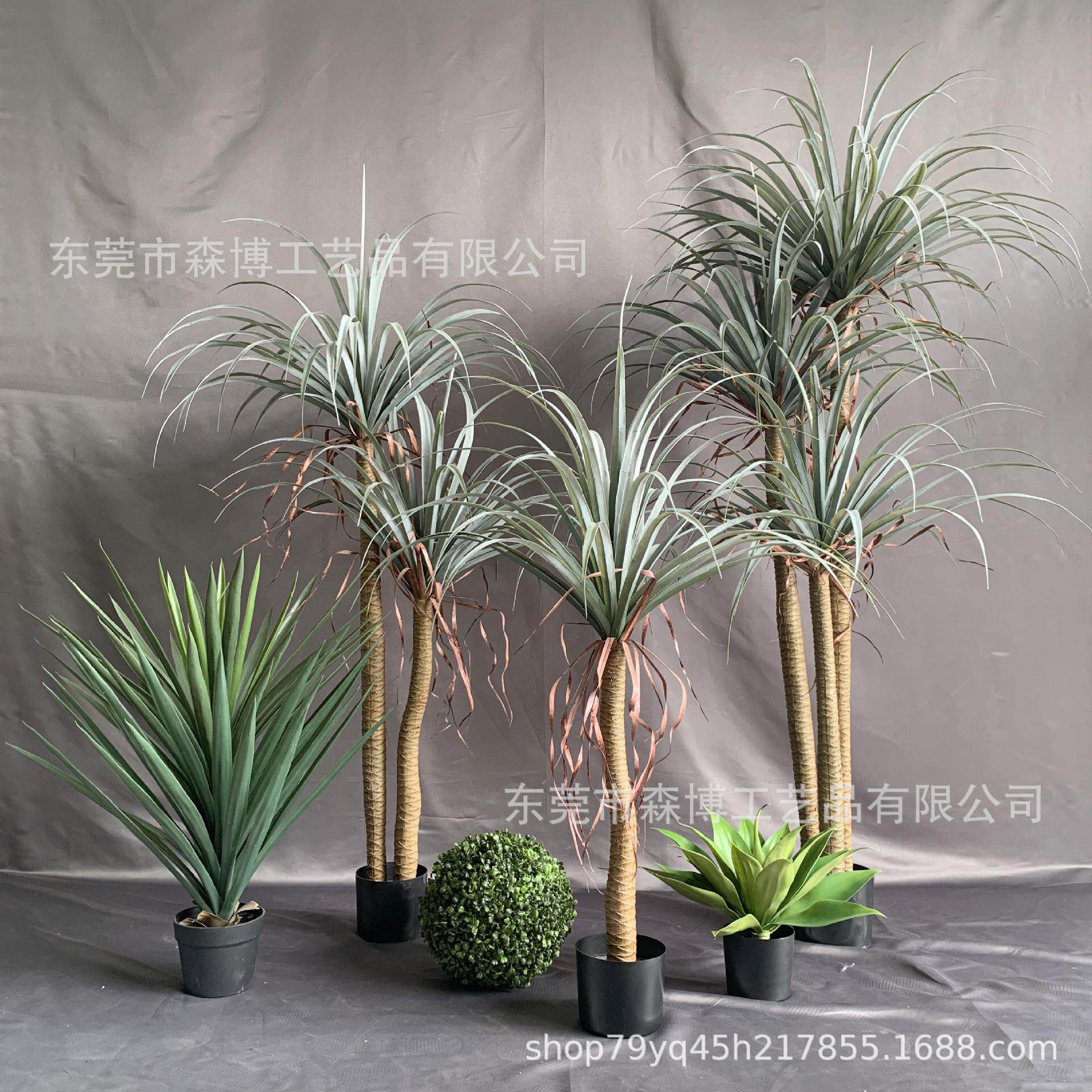 仿真多杆丝兰树龙血树盆栽仿真热带仙人掌龙舌兰绿植盆景造景树