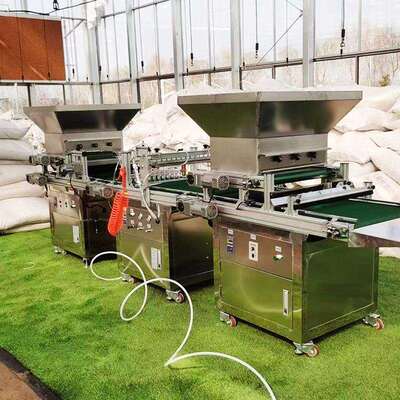 黄瓜辣椒芹菜全自动育种器流水线蔬菜花卉装土压穴育苗穴盘播种机