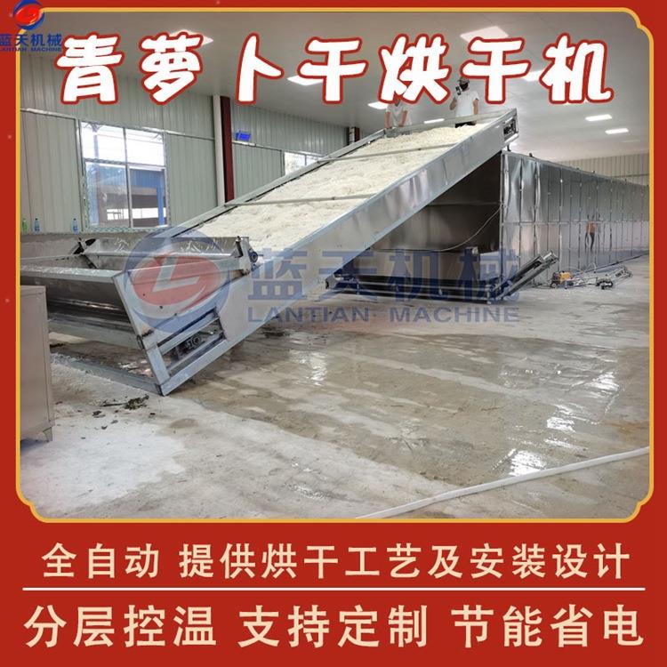 东北青萝卜烘干机大型网带式青萝卜条脱水干燥机绿萝卜干烘干机