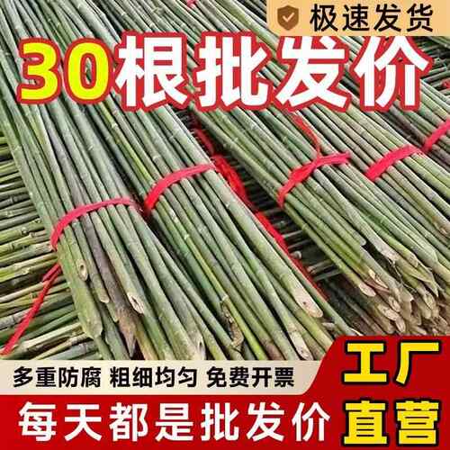 竹竿菜园搭架花园蔬菜架竹杆围栏户外毛竹篱笆耐用彩旗杆竹棍园艺