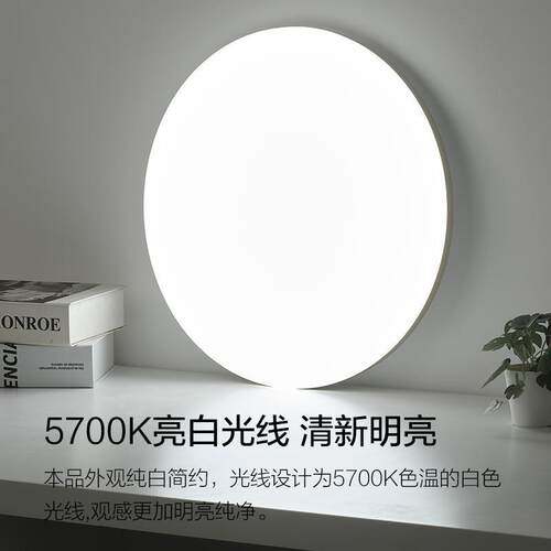 照明WS现代具灯饰卧室led简约客厅吸顶灯圆形房间灯创意家用