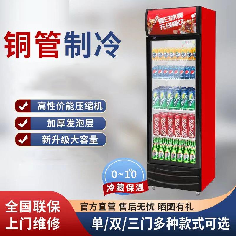 单双开门展示柜冷藏柜保鲜柜超市商用啤酒水果饮料立式冰柜展示柜