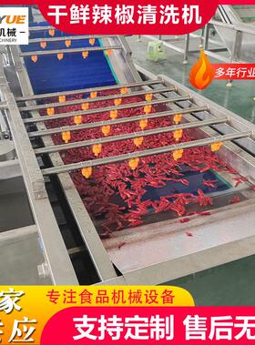 辣椒清洗机全自动果蔬气泡清洗机鲜辣椒毛豆清洗机除杂叶沙石设备