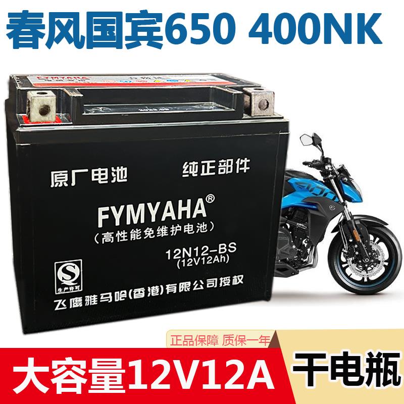 摩托车电瓶春风国宾650狒狒NK250捷马250/400NK/ZRX400免维护电池