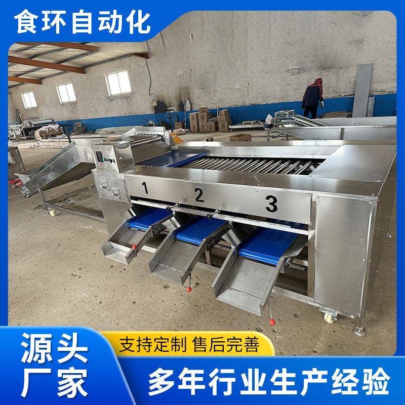 小龙虾分级机商用不锈钢滚杠式小龙虾分选机龙虾大小分拣设备
