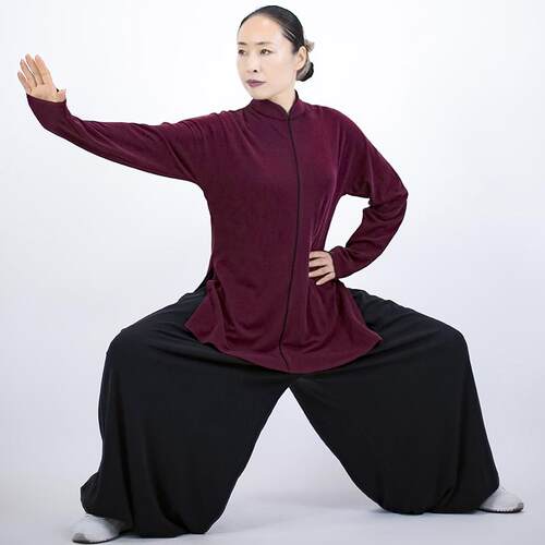 高档蕾太极服新款春秋女色士定制款太极服多休闲亲肤服棉直条马款