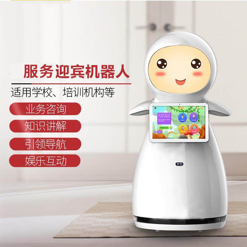 小雪迎宾智能教育机器人可跳舞幼儿园学校讲解语音导览智能对话展