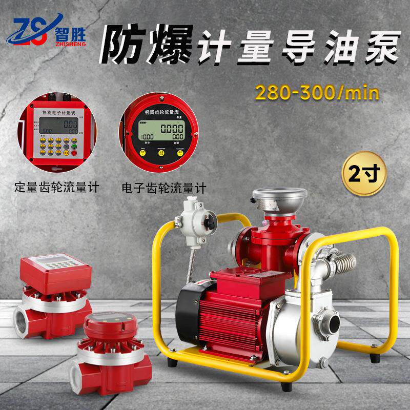 大流量防爆电机汽油柴油抽油泵12V24V220V防爆电动抽油导油泵