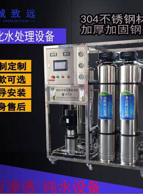纯化水设备去离子大型直饮纯水反渗透不锈钢水处理设备