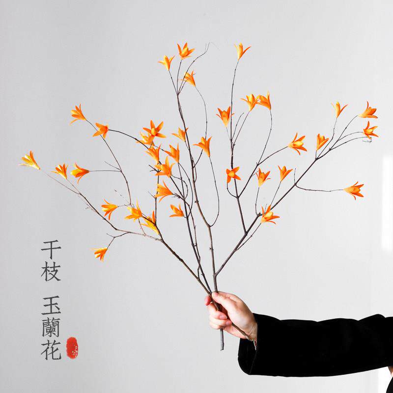 玉兰果干花天然树枝长枝中古风奶油风玄关客厅家居桌面插花装饰