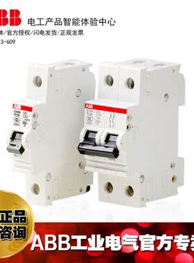 ABB微型断路器空气开关S262-B10