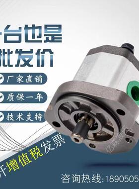 西班牙ROQEUT齿泵1M0.5/71M0.5/1M1.25/1M1XUA.轮5/1M2DF09R液压