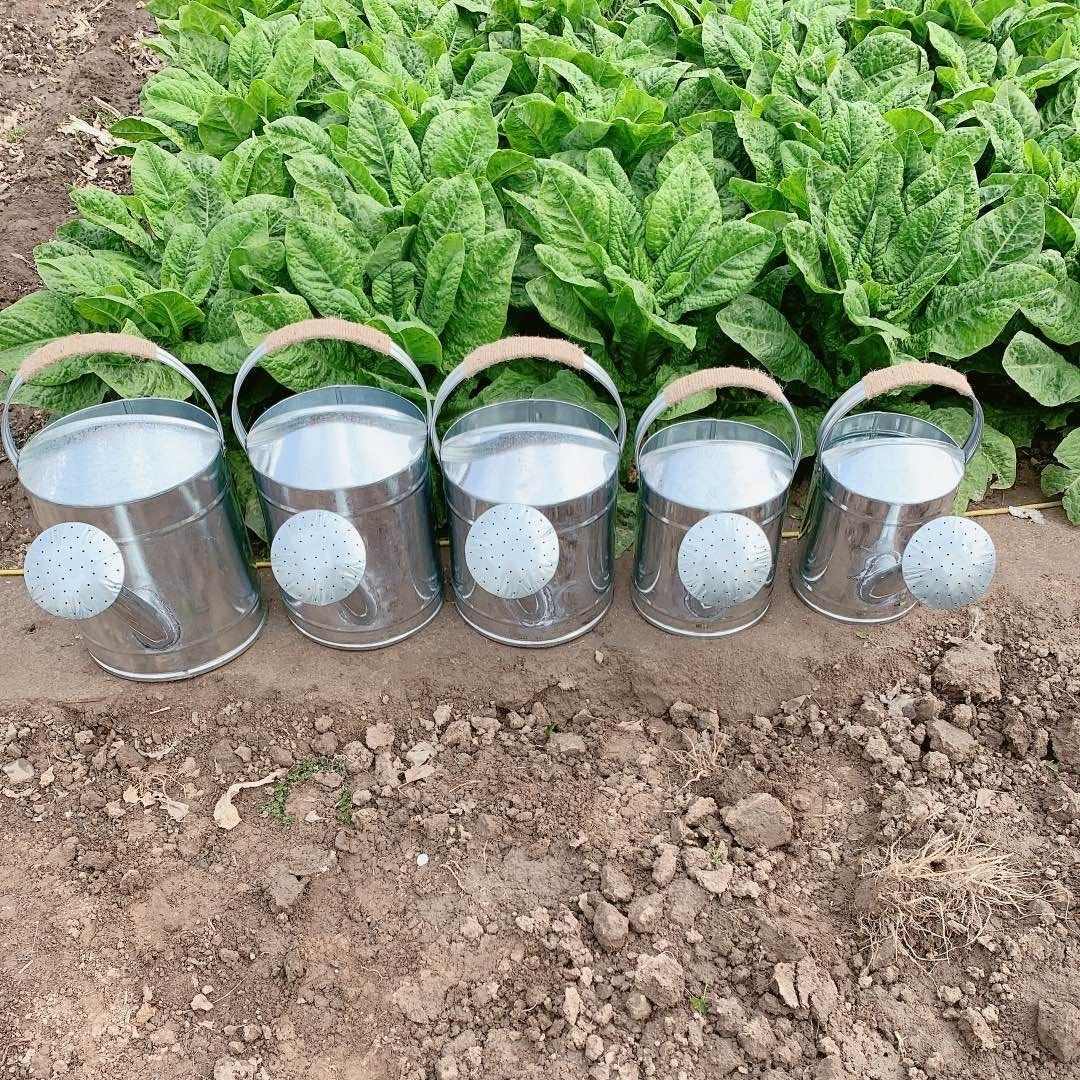 防刮手铁皮洒水壶家用浇花浇菜花洒壶防磨手大号浇水桶长嘴洒水桶