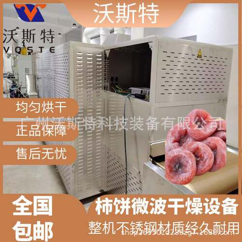 大型柿饼烘干设备 隧道式柿饼干微波干燥杀菌设备 均匀烘干