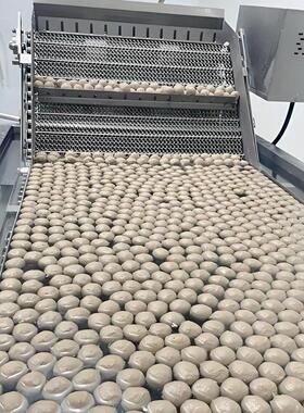牛肉丸牛筋丸预煮流水线鱼丸全套加工机器包心鱼丸成型机