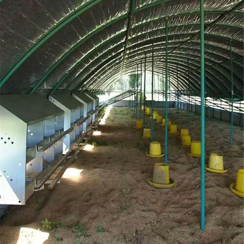 散养鸡产蛋箱大容量12穴24穴双层蛋鸡用下蛋窝畜牧养殖人工集蛋箱
