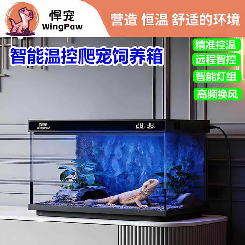 智能温控箱豹纹守宫肥尾饲养箱爬柜恒温箱爬宠保温箱造景缸蓝牙控