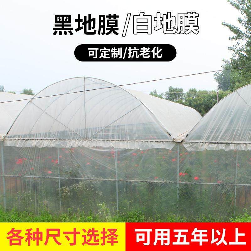 加厚大棚膜透明雾无滴膜保温07水防尘防膜农用防塑膜薄纸膜种植薄