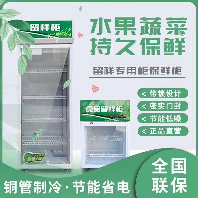 食品留样柜幼儿园带锁商用冰柜家用冷藏餐厅食堂小冰箱保鲜展示柜