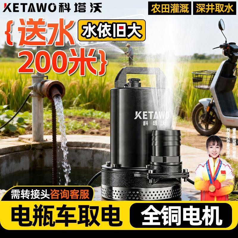 电动车专用直流抽水泵家用农用灌溉12V24V48V72V小型高扬程潜水泵