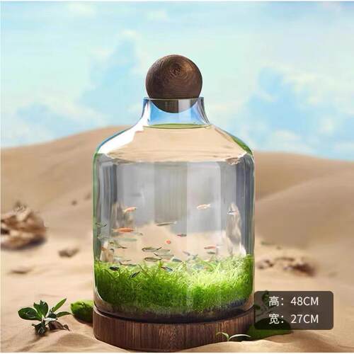 造景水草办公室日式桌面木托diy玻璃鱼虾微缸景观鱼缸生态瓶创意