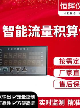 供应VX2000F温压补偿流量积算无纸记录仪液晶控制器智能记录