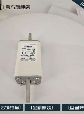 快速熔断器保险丝170M3144 170M3145 170M3146 170M3147 170M3148