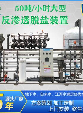 大型工业水处理设备工厂供应50吨反渗透纯水设备化工五金食品用水