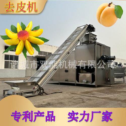 蒸汽去皮机黄桃头加工设备葡萄全自动加工流水线蒸汽脱皮