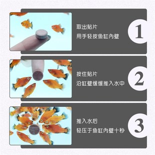 贴片鱼饲料鱼食螺旋藻红虫贴片增艳增色饲料底棲鱼孔雀鱼发色批发