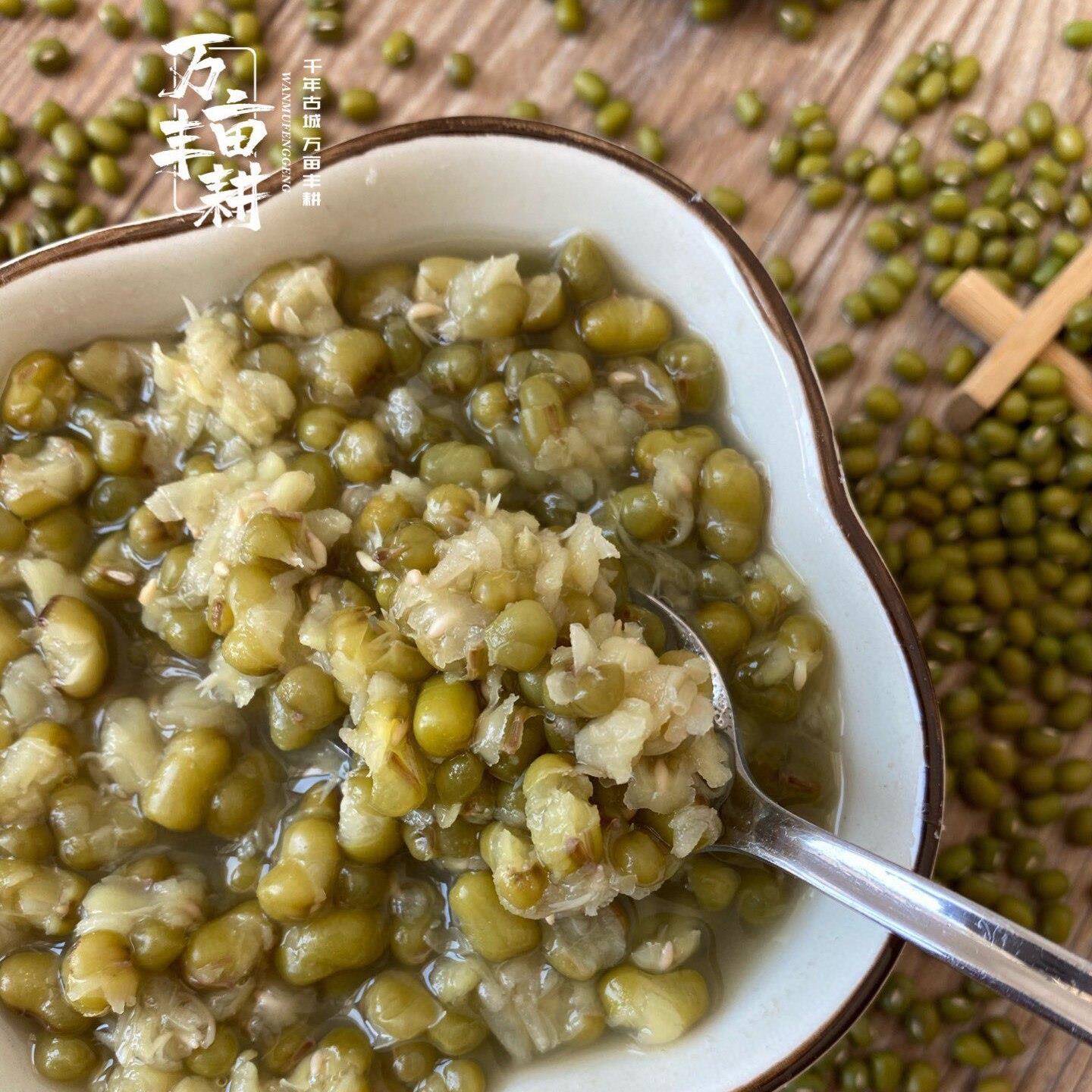 万亩丰耕绿豆活性发芽绿豆保留胚芽起沙东北产杂粮绿豆汤