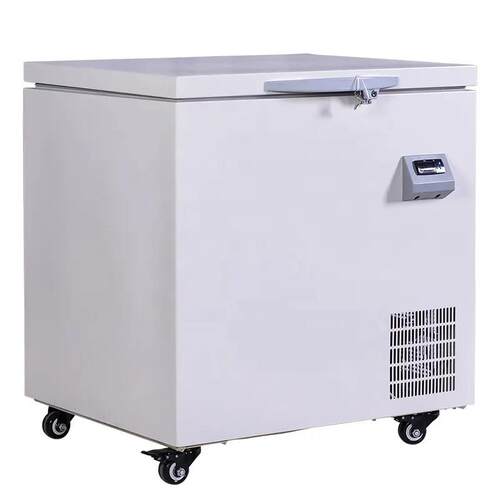 -40/-60/-80℃超低温冰箱120L卧式迷你实验低温冷柜速冻冰柜