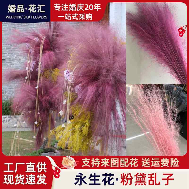 粉黛乱子草永生花云南干花家居景观装饰花仙女草网红蚊子草