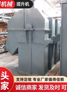 家供NE型T型SJP提升机 矿用物料应提升输H送机 垂直斗式厂提升机