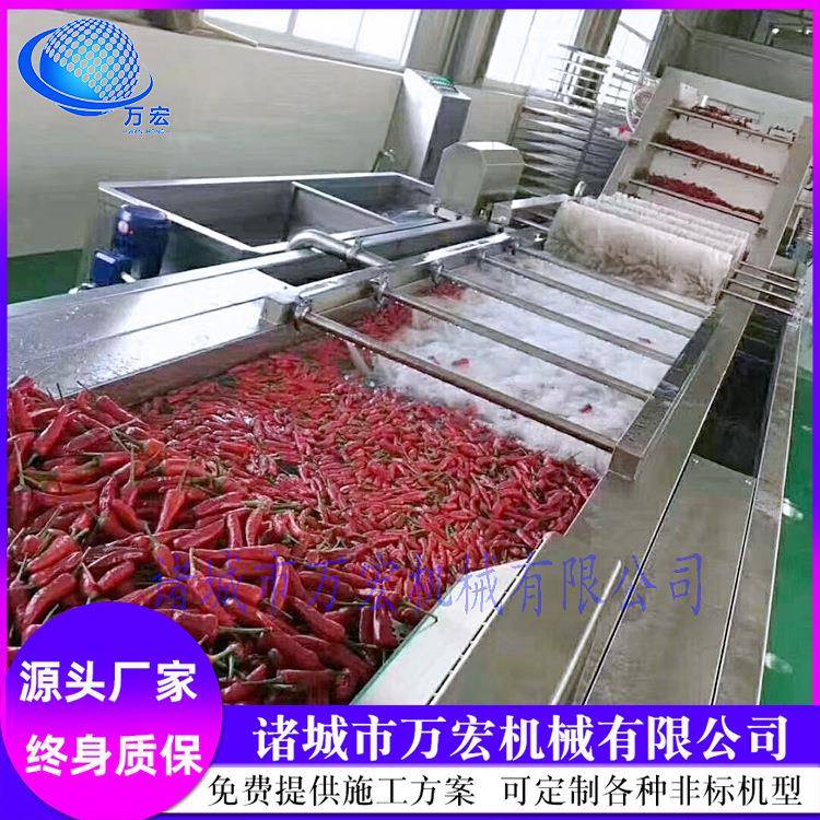 海鲜秋葵气泡清洗机喷淋全自动蔬菜清洗机草莓叶菜果蔬清洗机