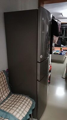 咨询:海尔BCD-216WDPX风怎么样,用后6个月感受,真相大爆料!!