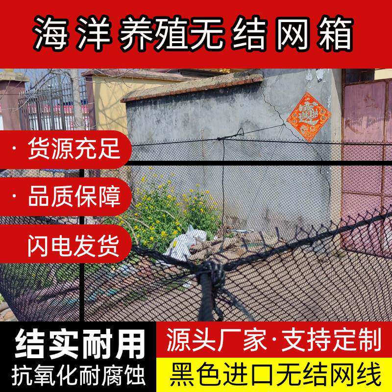 海洋养殖网箱水库暂养存放养鱼大鱼抬网无结聚乙烯加粗网线定制