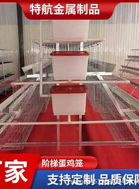 阶梯蛋鸡笼多层料梯全自动清粪捡蛋喂简单加背负TOS式阶喂机捡蛋
