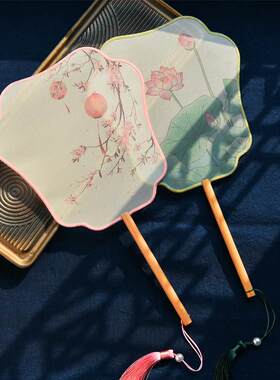 中国风飞仙半透明团扇汉服走秀宫扇女式长柄宫庭古装扇子可定制图